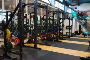 Racks für Powerlifting: Kniebeuge, Bankdrücken, Plattform für Kreuzheben