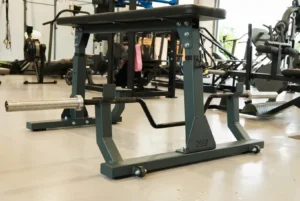 Brustgestützte Ruderbank (Seal Row) mit Spezial-Langhantel im Friendship Gym Hamburg.